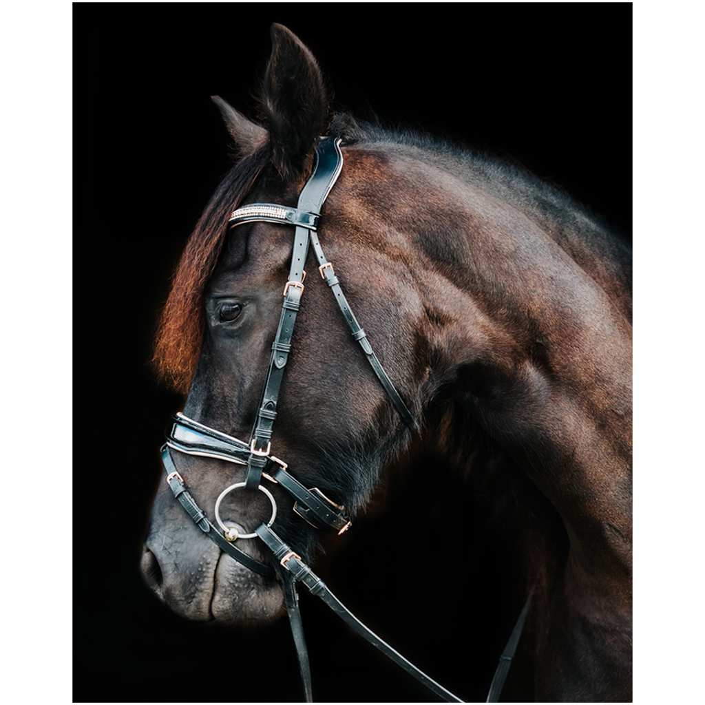 Regal Series 18, Print
