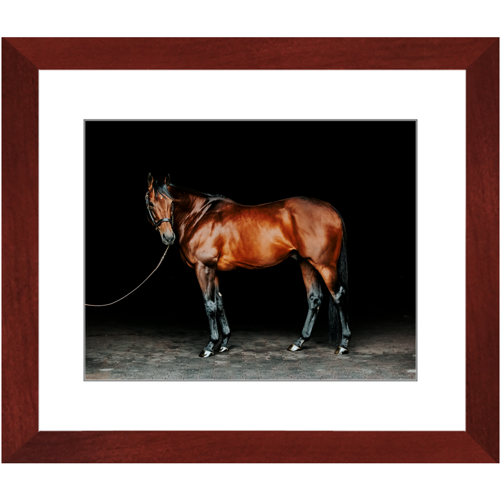 American Pharoah Series 1, Framed Print