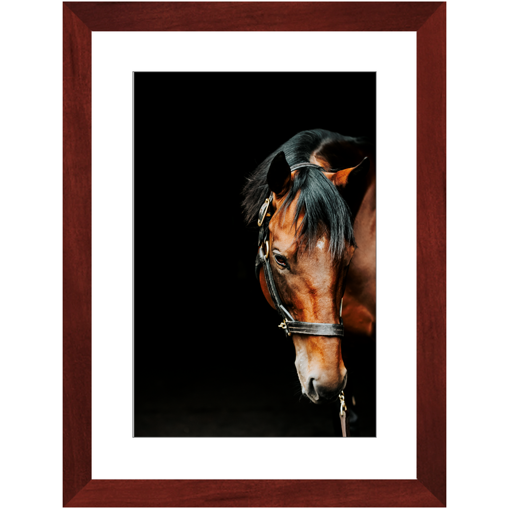 American Pharoah Series 6, Framed Print