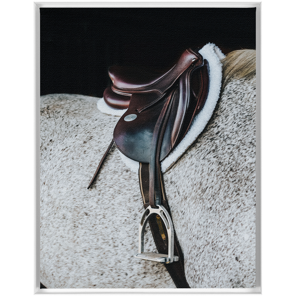 Apollo Series 3, Framed Canvas