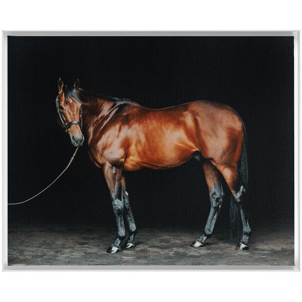 American Pharoah Series 1, Framed Canvas