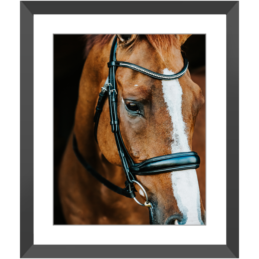 Hudson Series 3, Framed Print