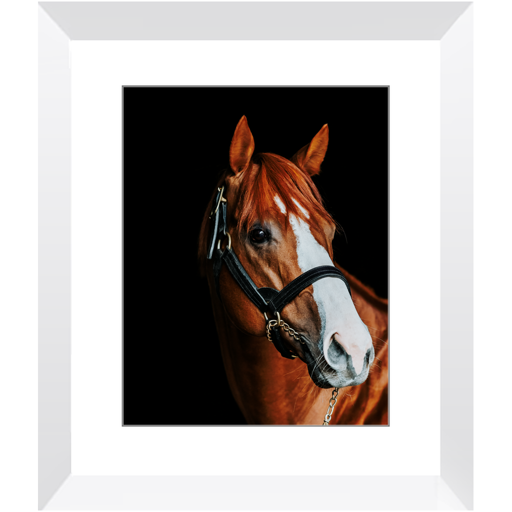 Justify Series 2, Framed Print