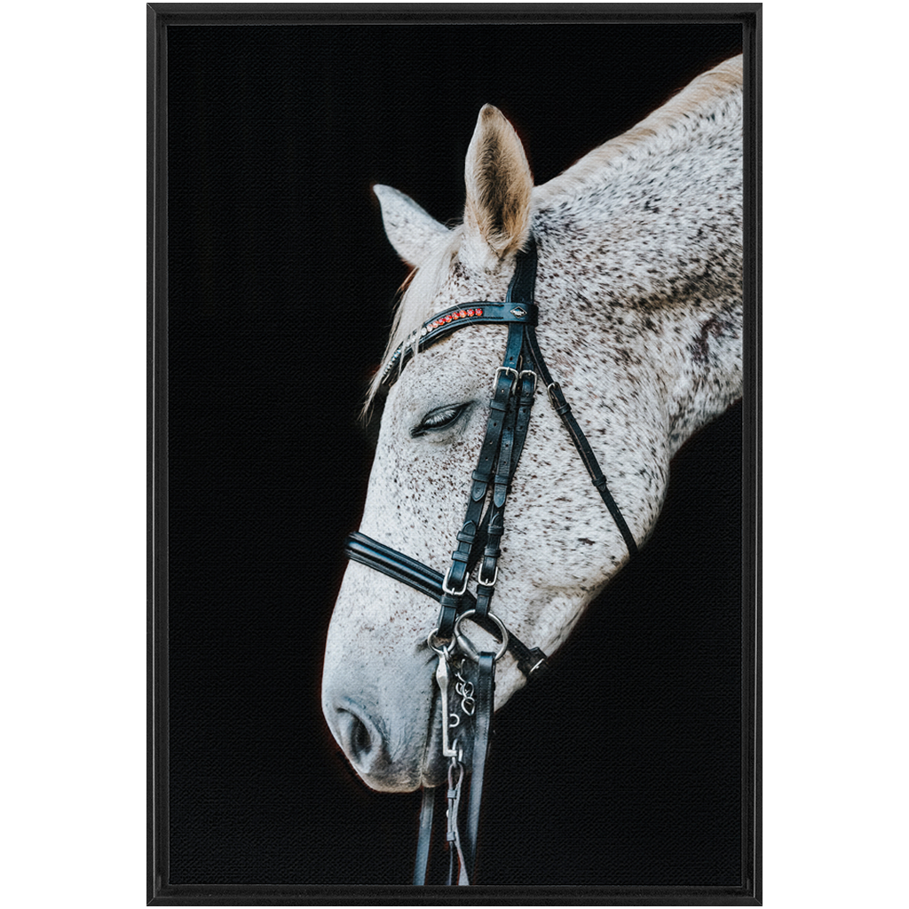 Apollo Series 1, Framed Canvas