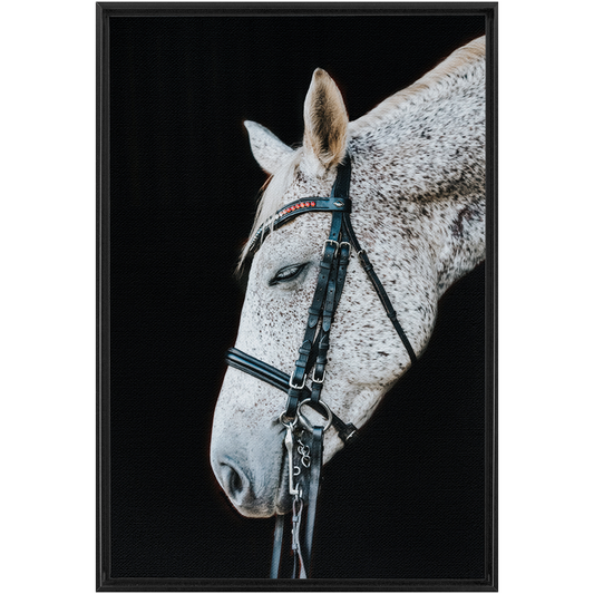 Apollo Series 1, Framed Canvas