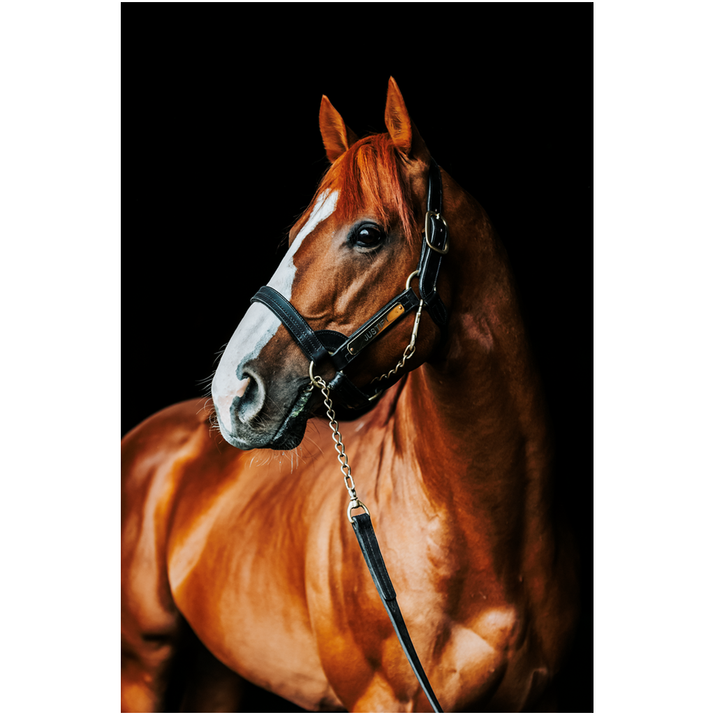 Justify Series 1, Print