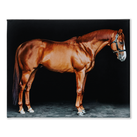 Justify Series 6, Stretched Canvas