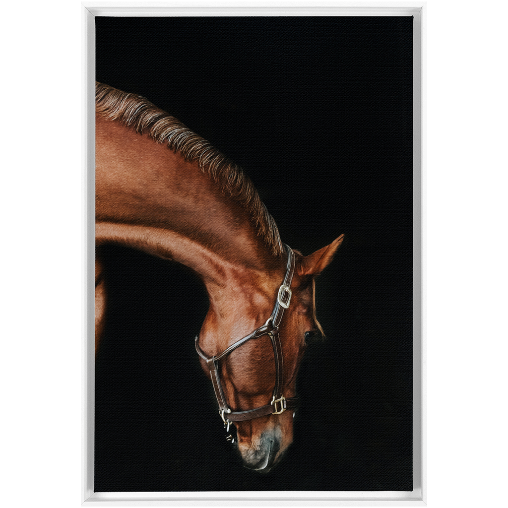 Django Series 6, Framed Canvas