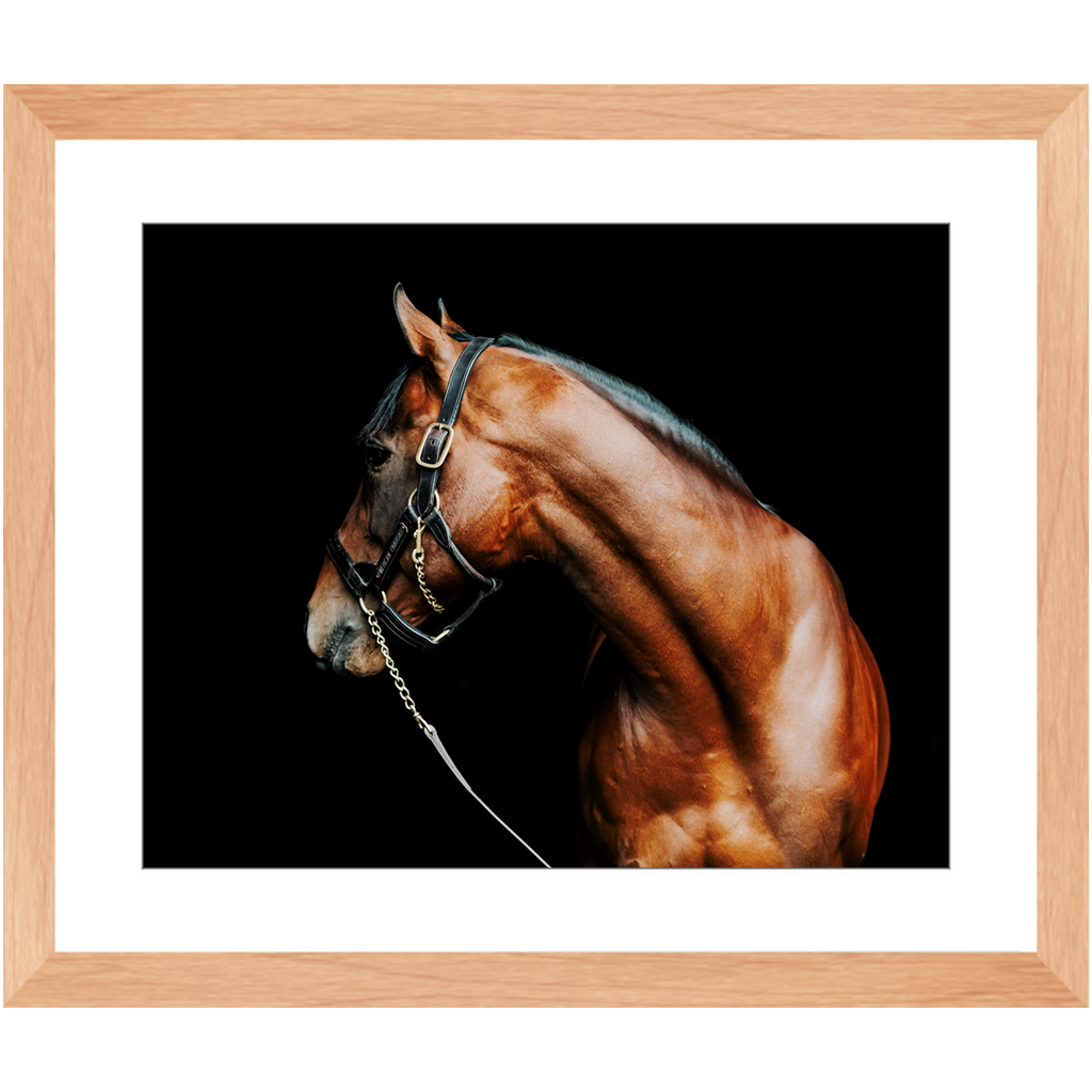 American Pharoah Series 5, Framed Print