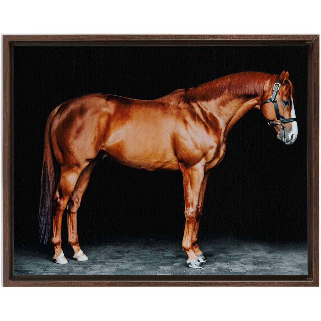 Justify Series 6, Framed Canvas