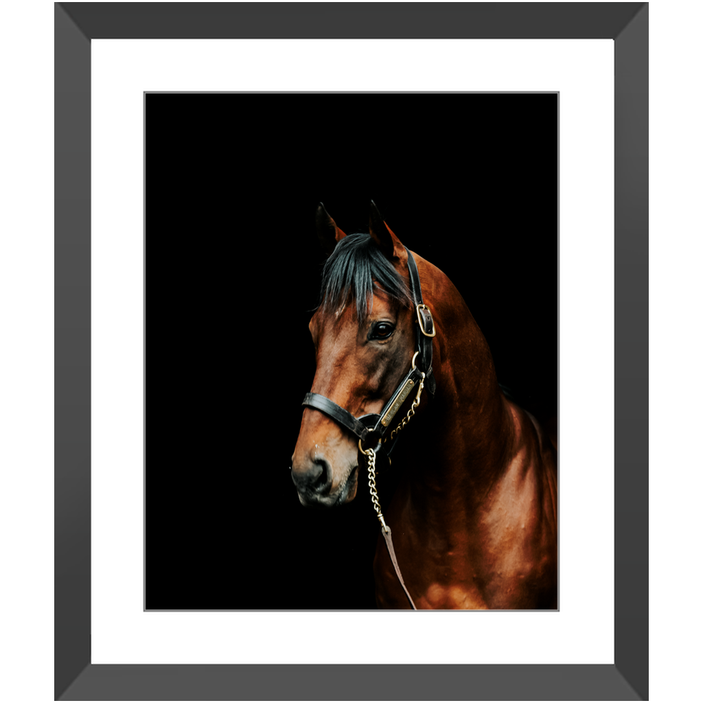 American Pharoah Series 2, Framed Prints