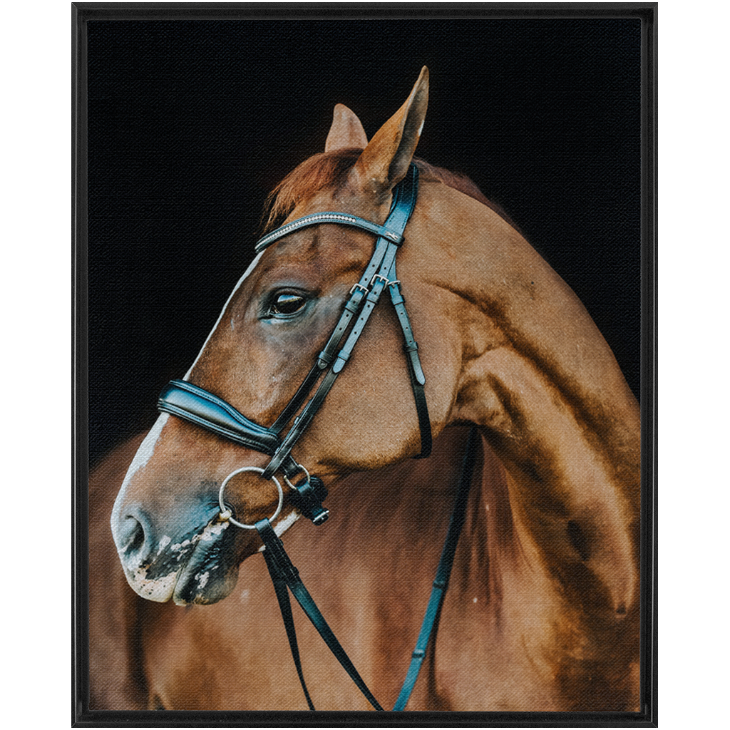 Hudson Series 6, Framed Canvas