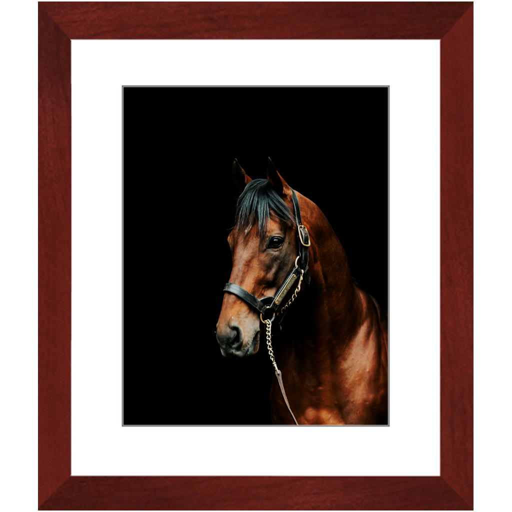 American Pharoah Series 2, Framed Prints