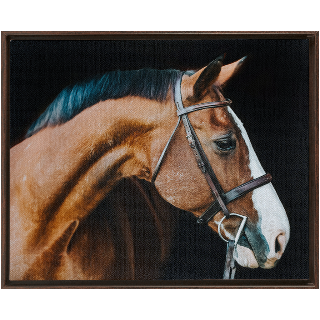 Huntsman Series 3, Framed Canvas