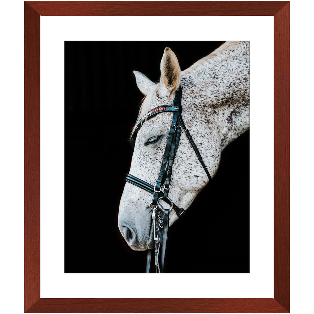 Apollo Series 1, Framed Print