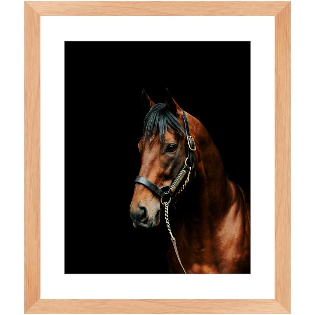American Pharoah Series 2, Framed Prints