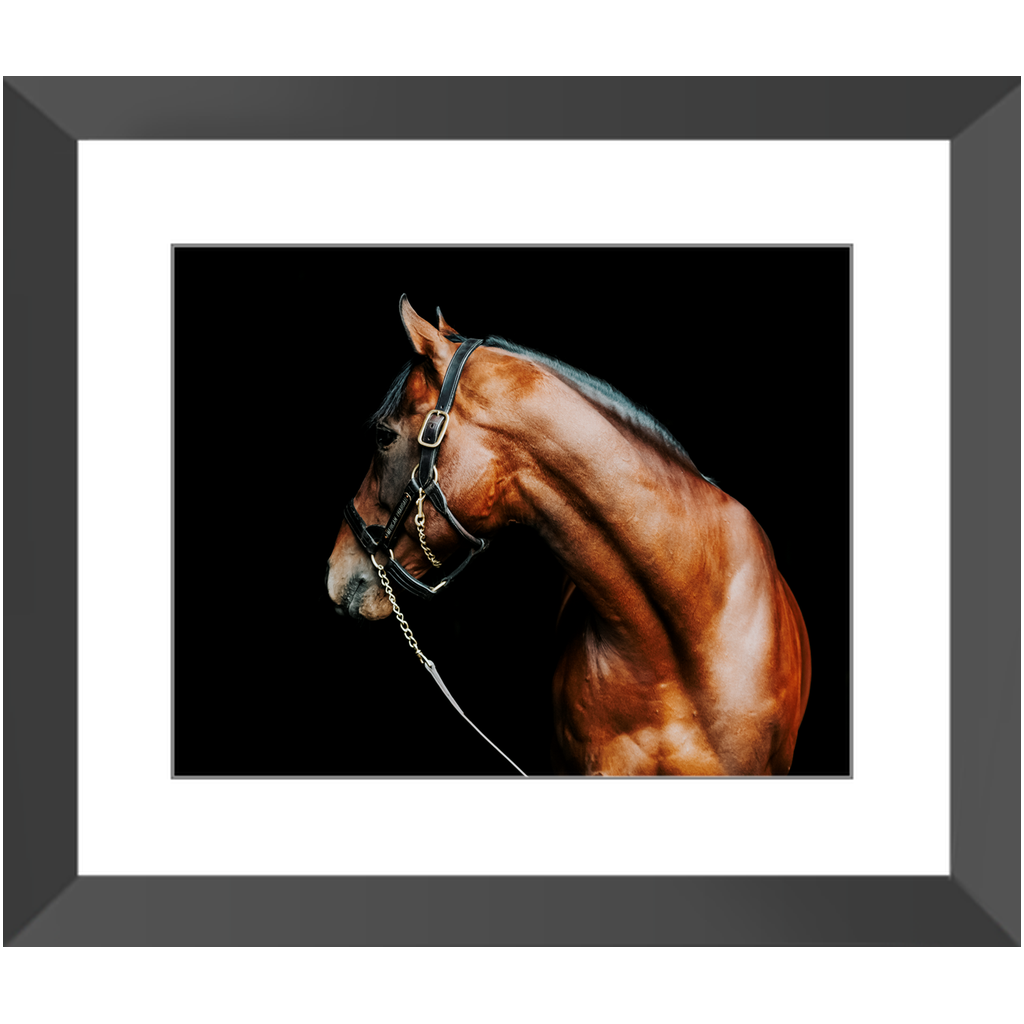 American Pharoah Series 5, Framed Print
