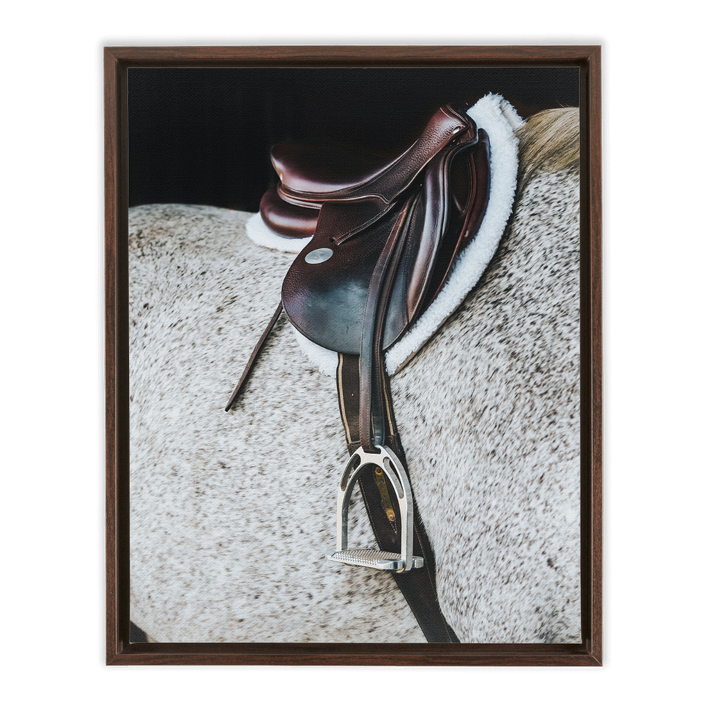 Apollo Series 3, Framed Canvas