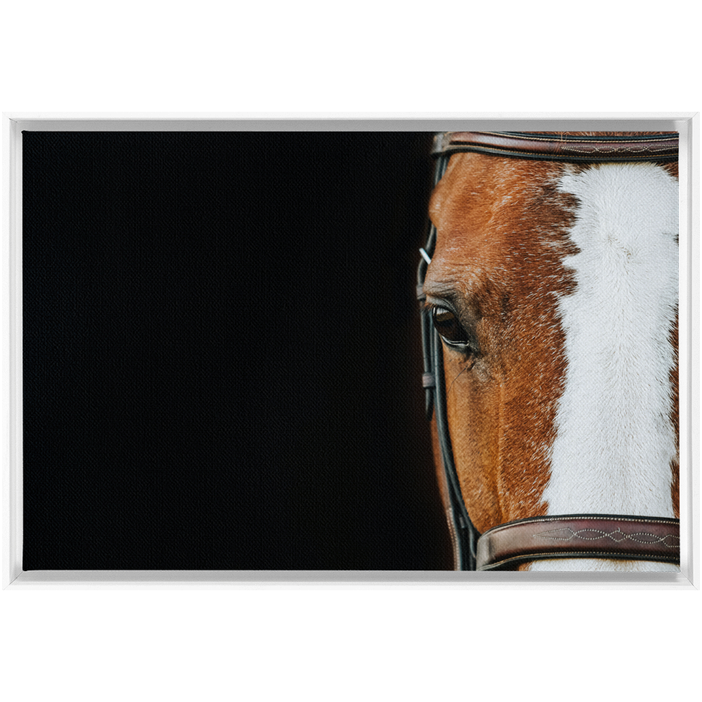 Huntsman Series 5, Framed Canvas