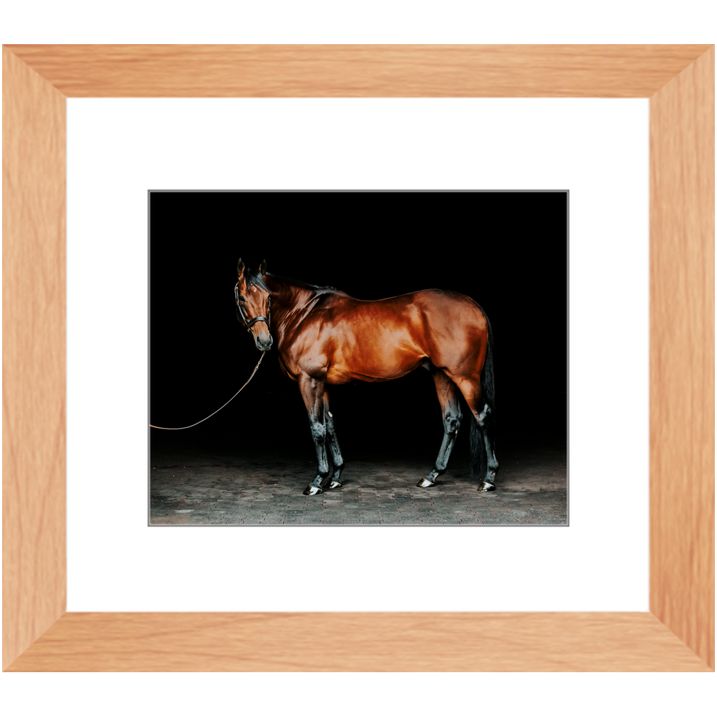 American Pharoah Series 1, Framed Print