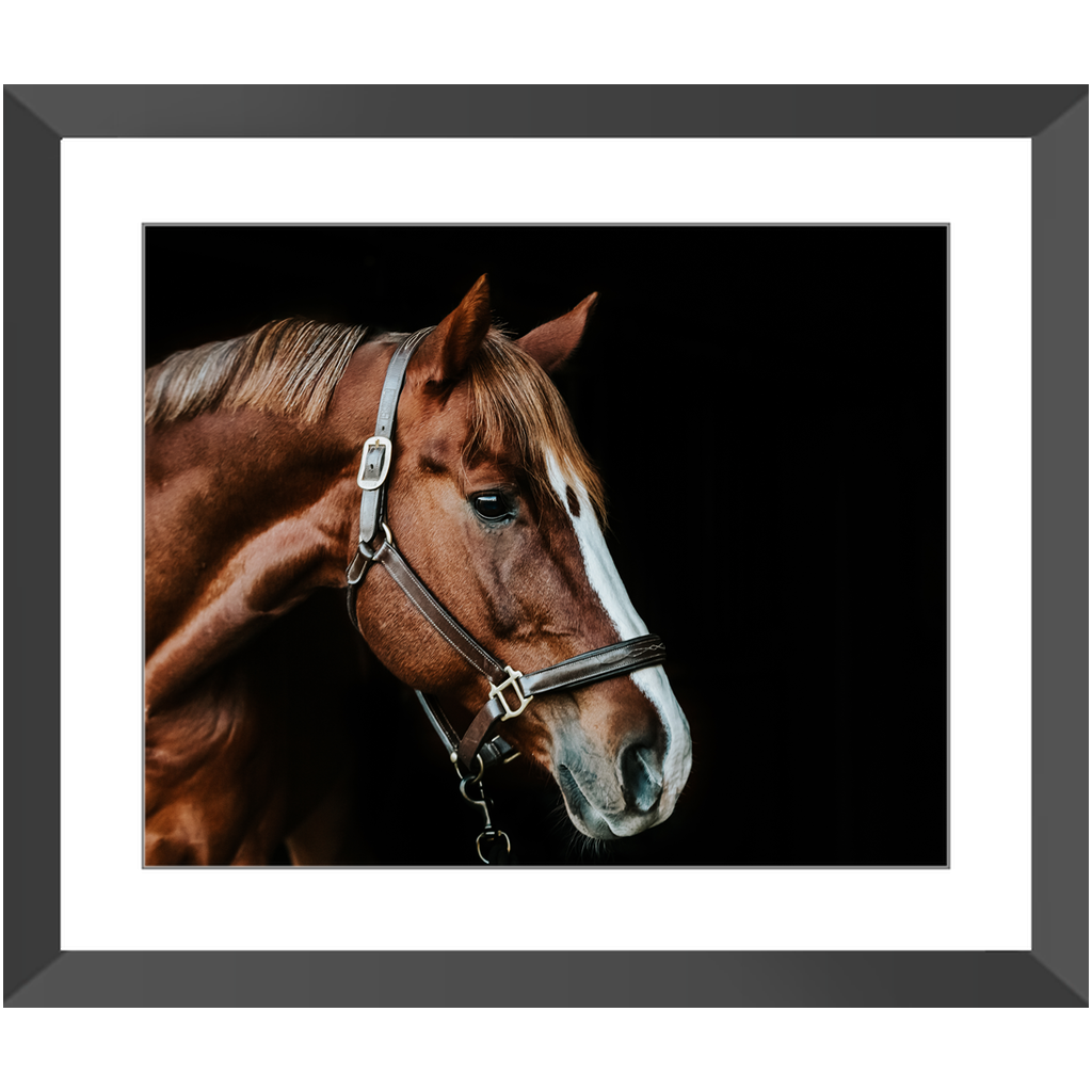Django Series 5, Framed Print