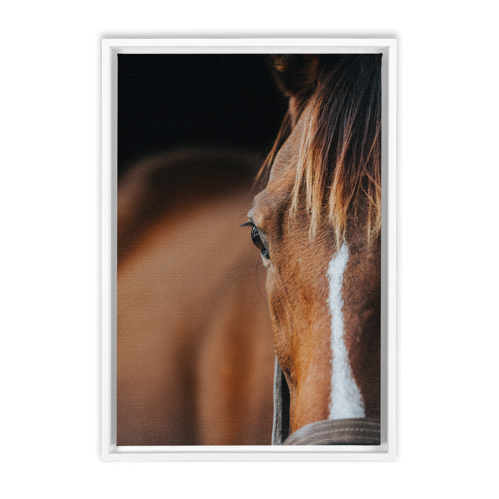 Majestic 1, Framed Canvas