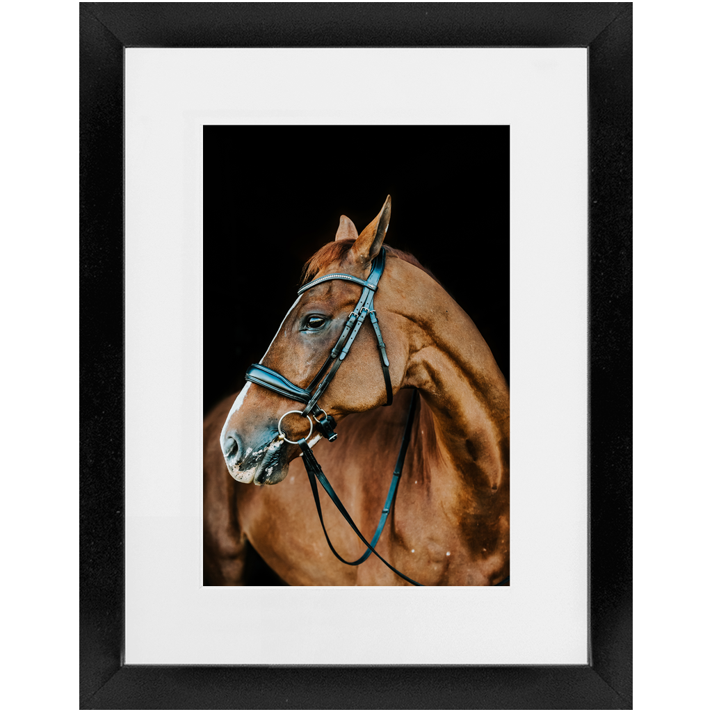 Hudson Series 6, Framed Print