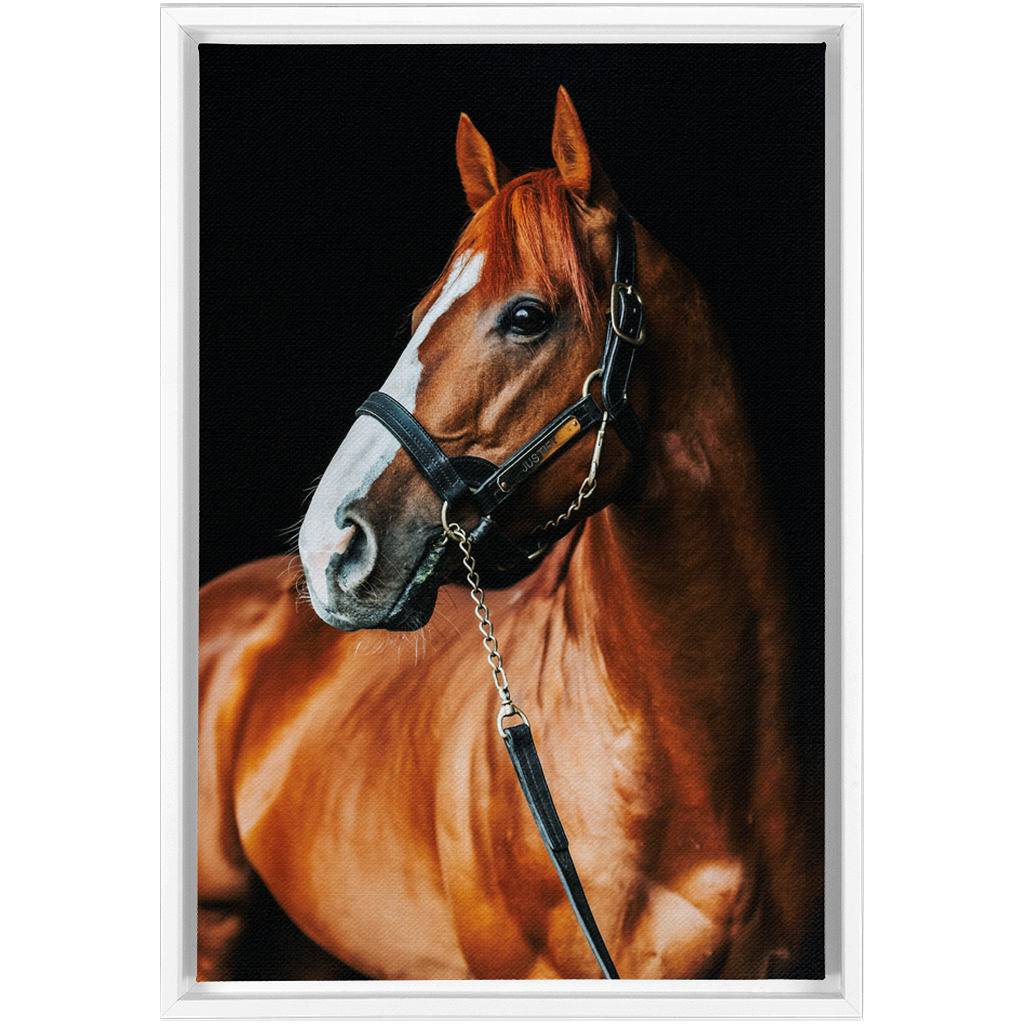 Justify Series 1, Framed Canvas