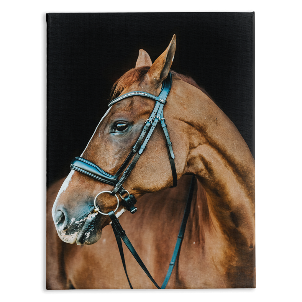 Hudson Series 6, Stretched Canvas