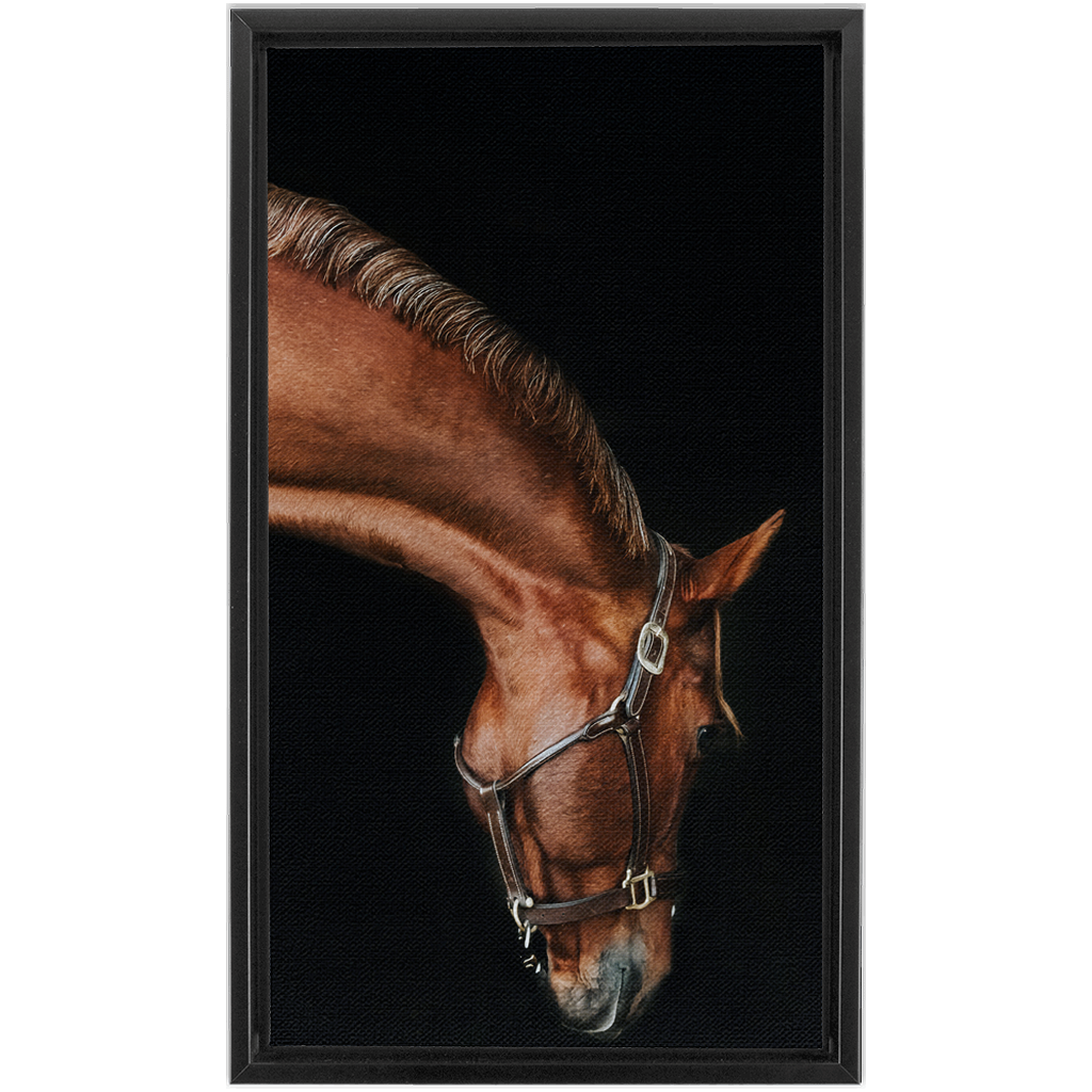 Django Series 6, Framed Canvas