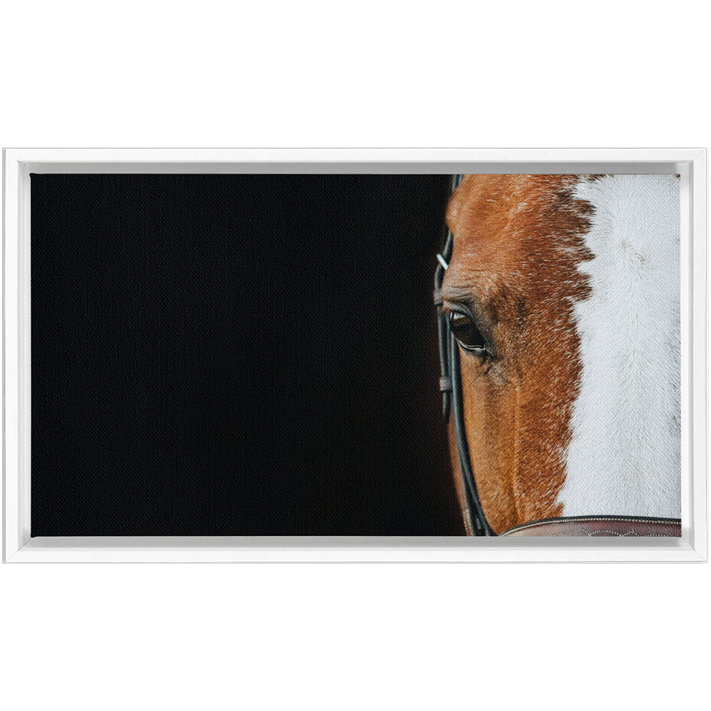 Huntsman Series 5, Framed Canvas