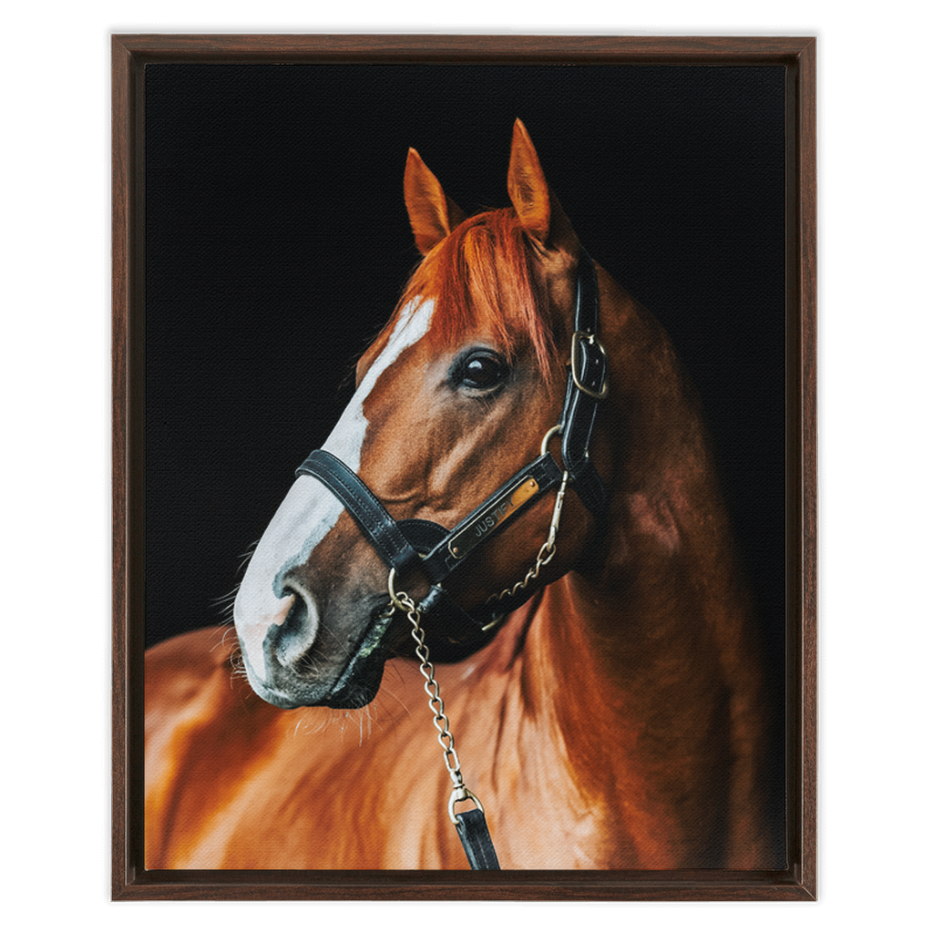 Justify Series 1, Framed Canvas