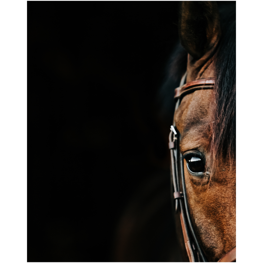 Jovial Series 5, Print