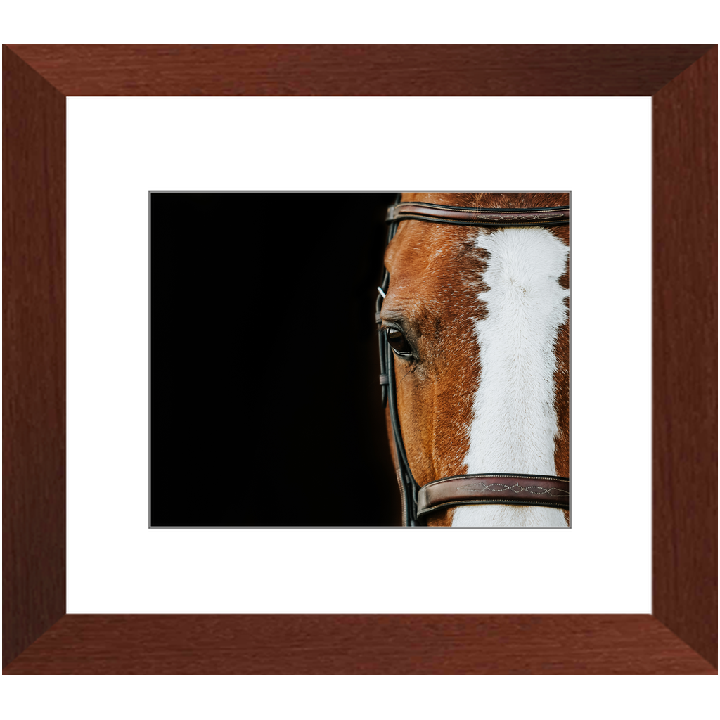 Huntsman Series 5, Framed Print