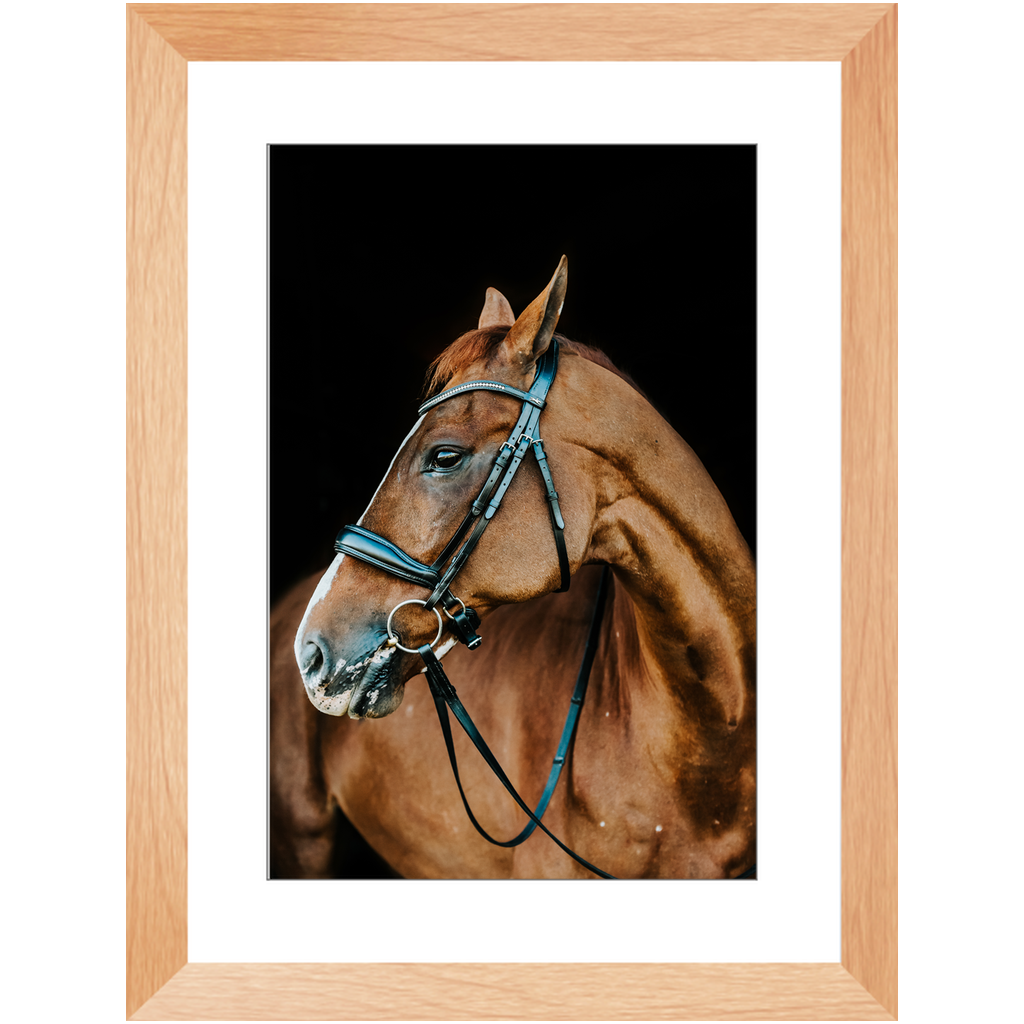 Hudson Series 6, Framed Print