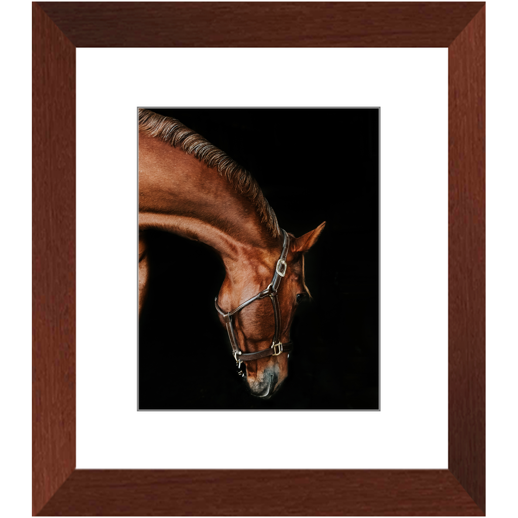 Django Series 6, Framed Print