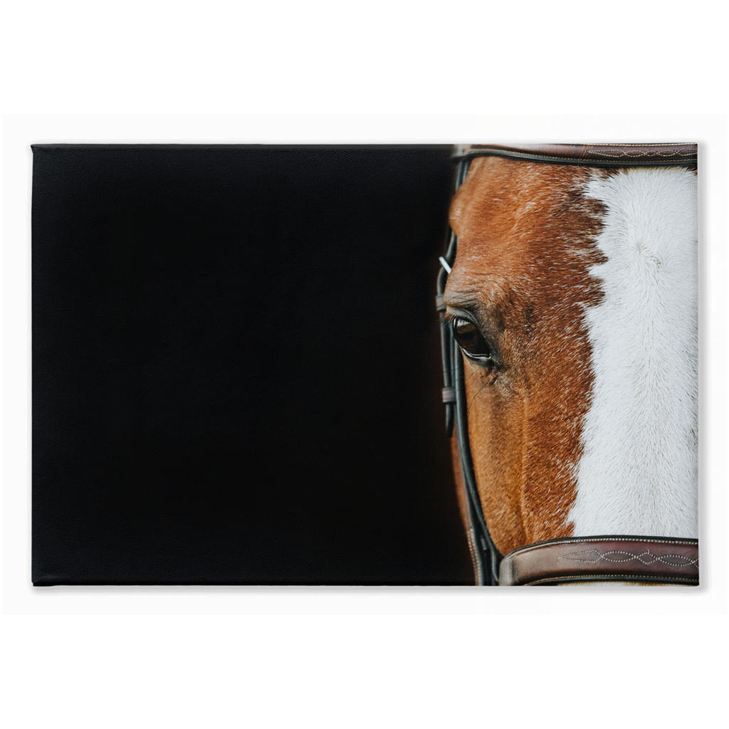 Huntsman Series 5, Stretched Canvas