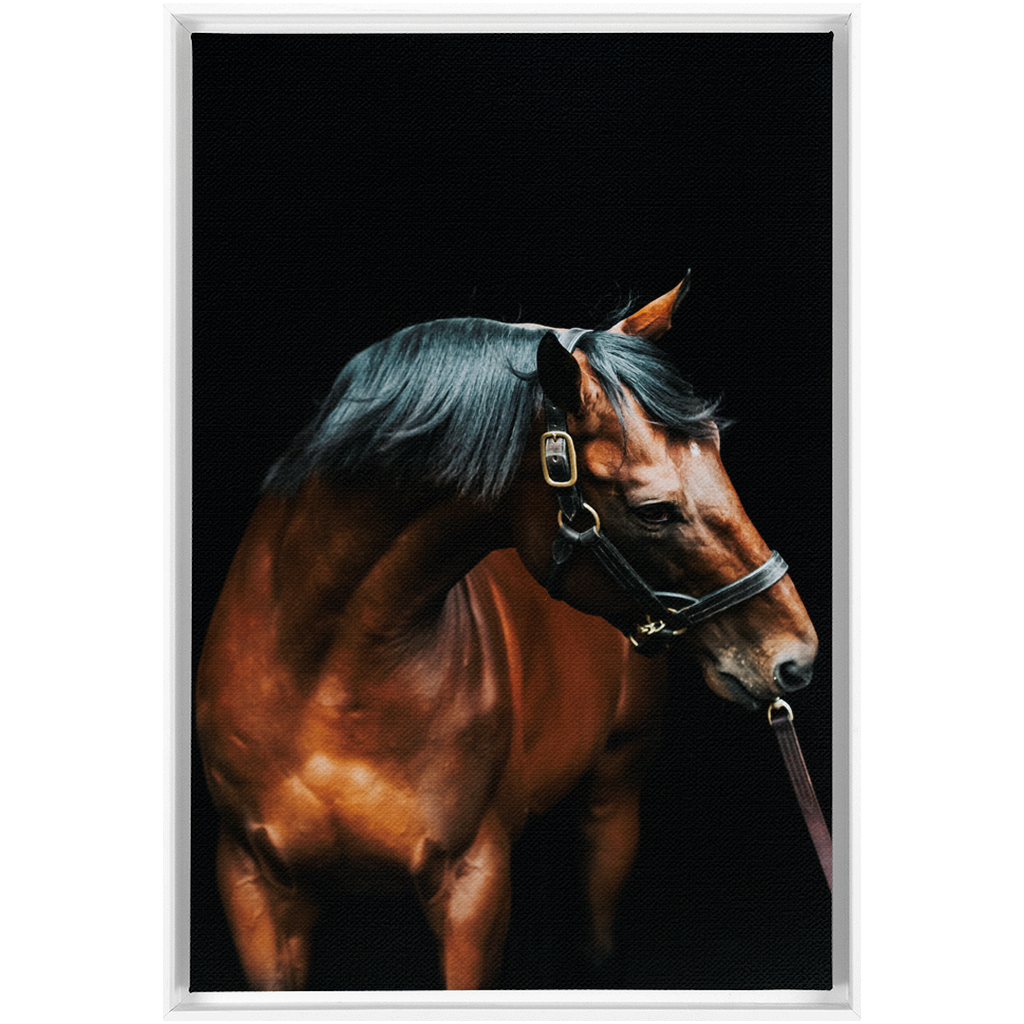American Pharoah Series 3, Framed Canvas