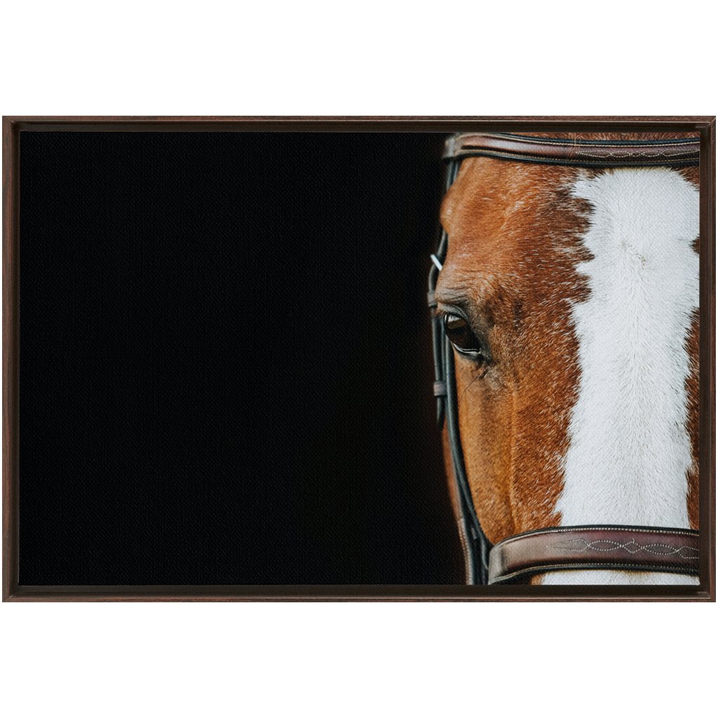 Huntsman Series 5, Framed Canvas