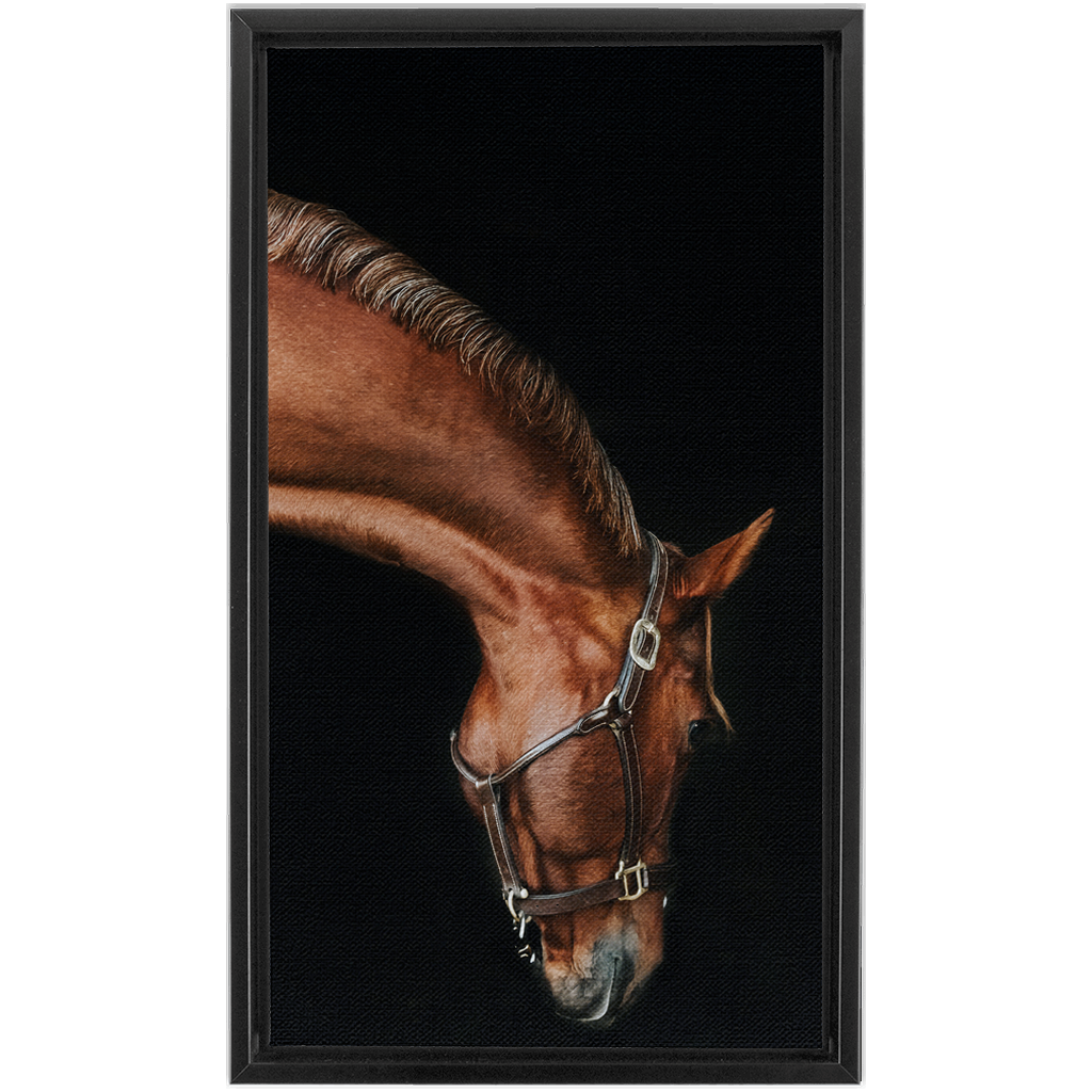 Django Series 6, Framed Canvas