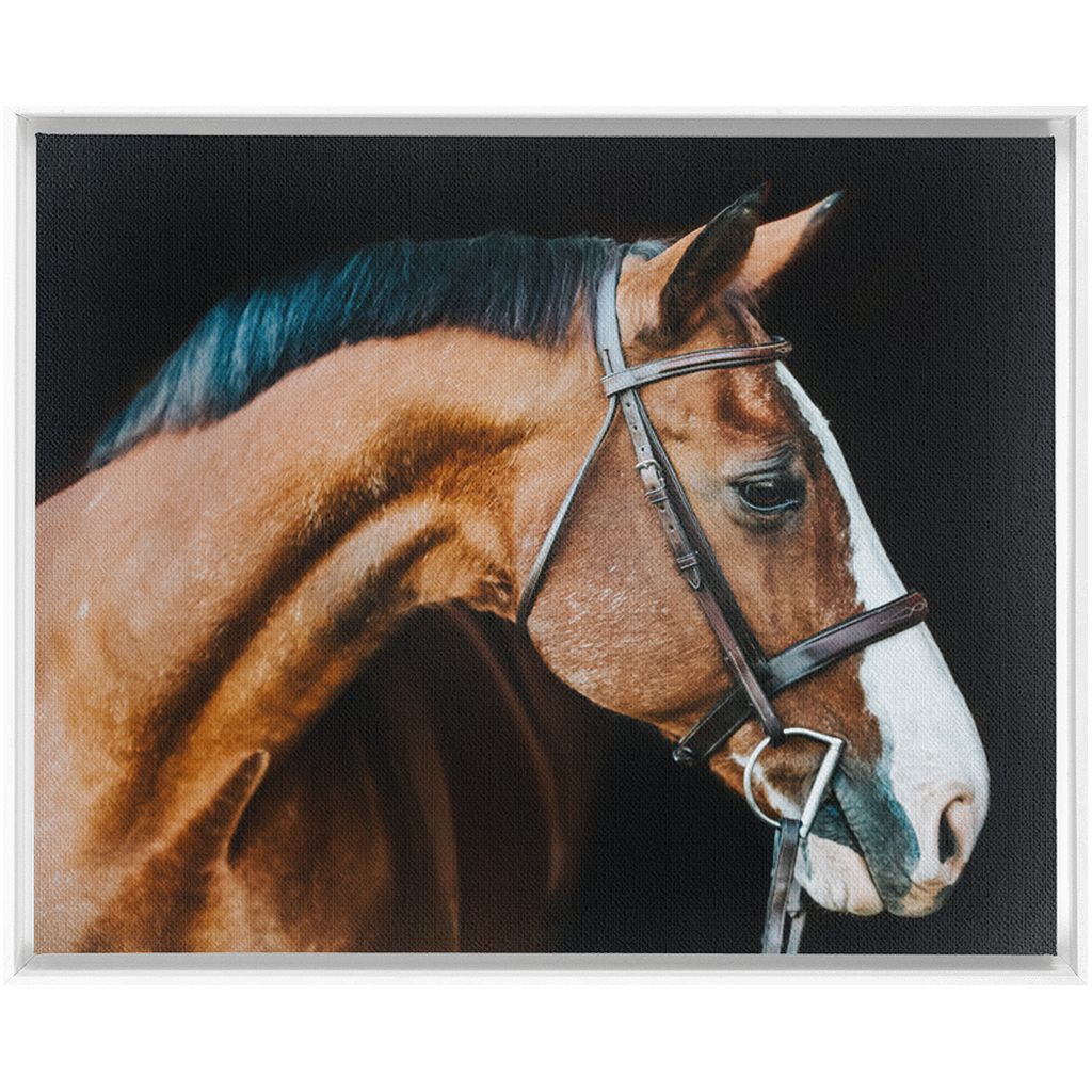 Huntsman Series 3, Framed Canvas