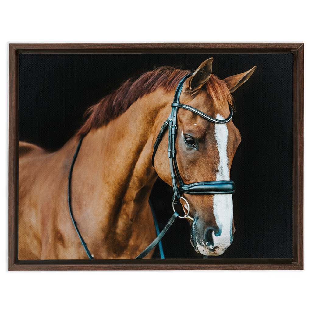 Hudson Series 1, Framed Canvas