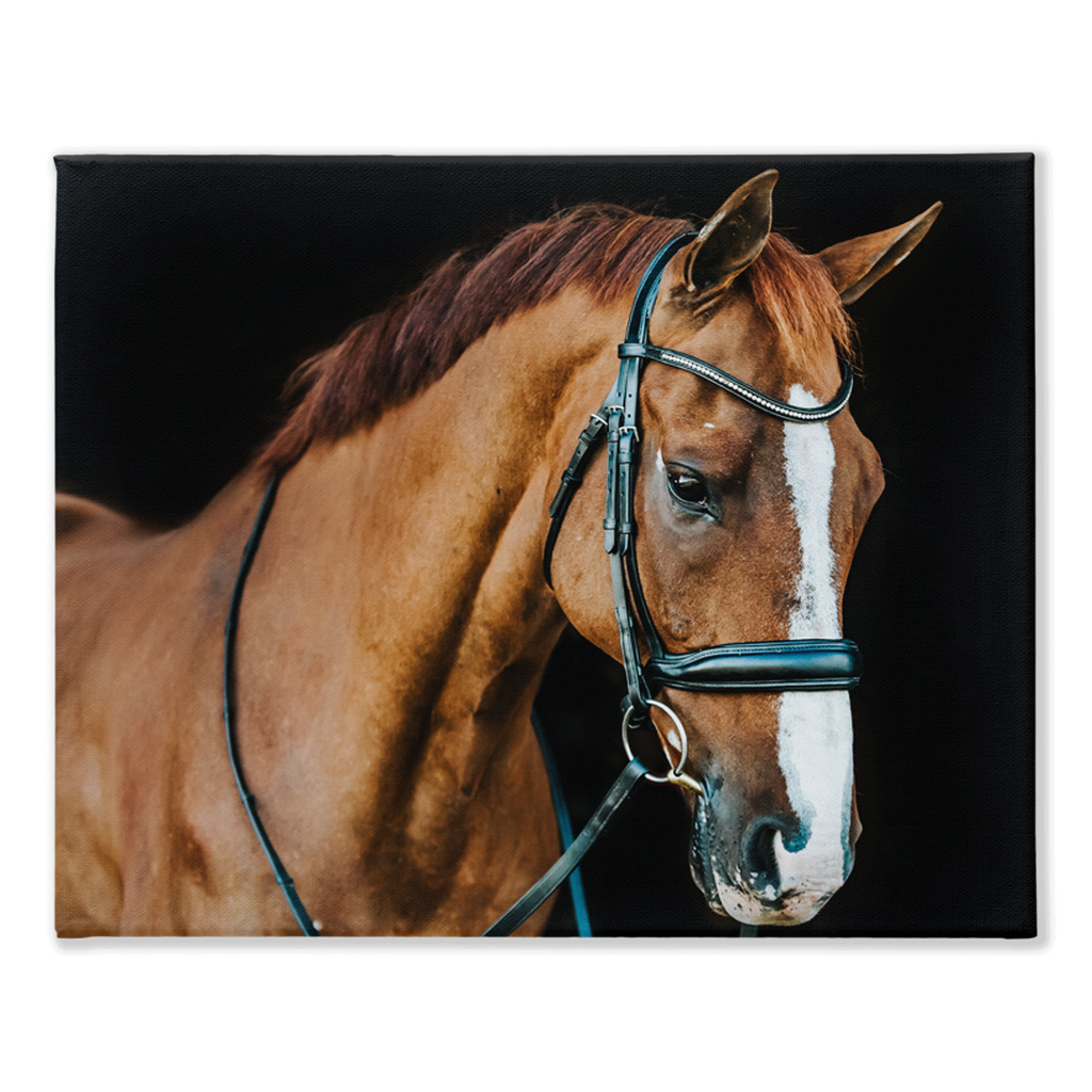 Hudson Series 1, Stretched Canvas