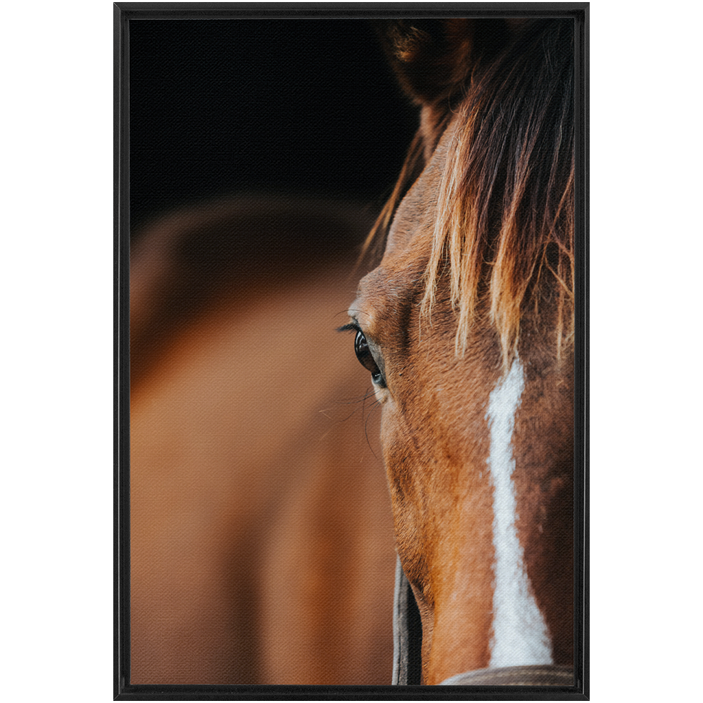 Majestic 1, Framed Canvas