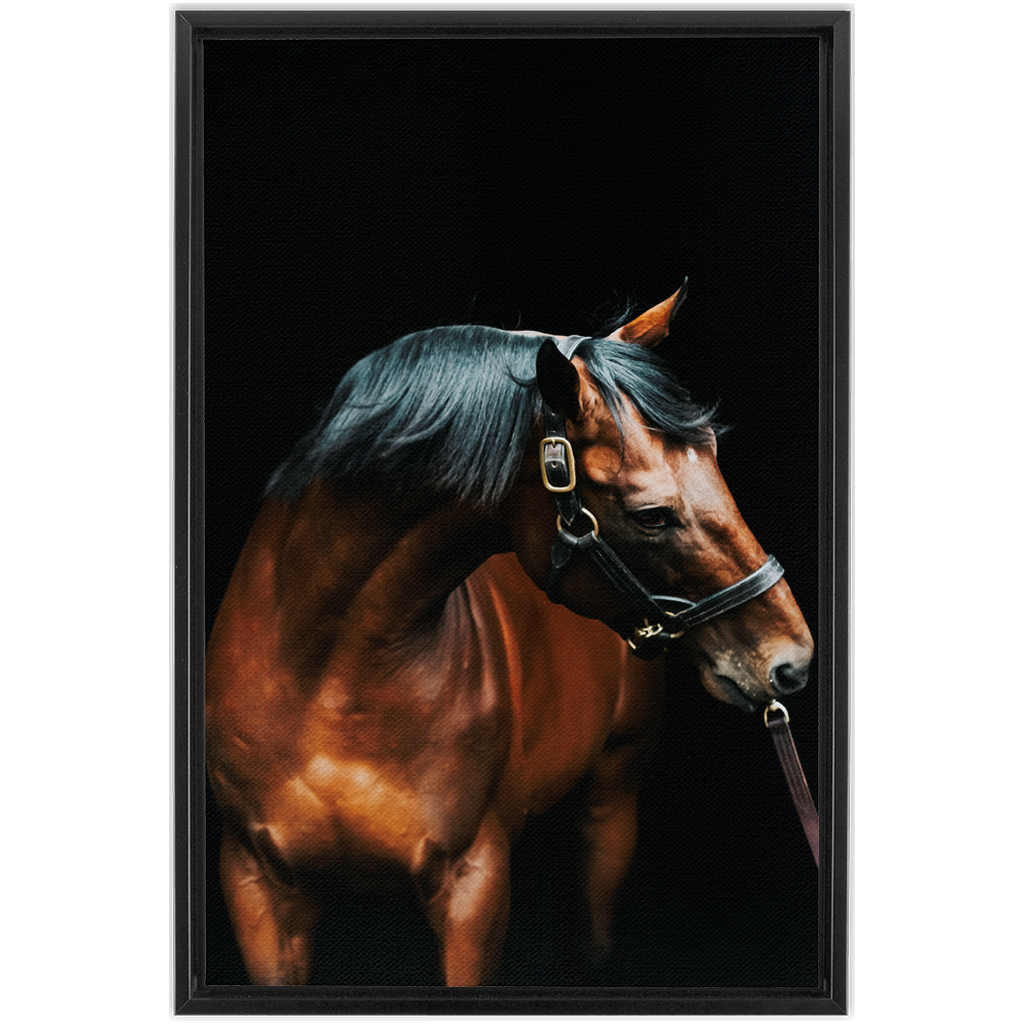 American Pharoah Series 3, Framed Canvas