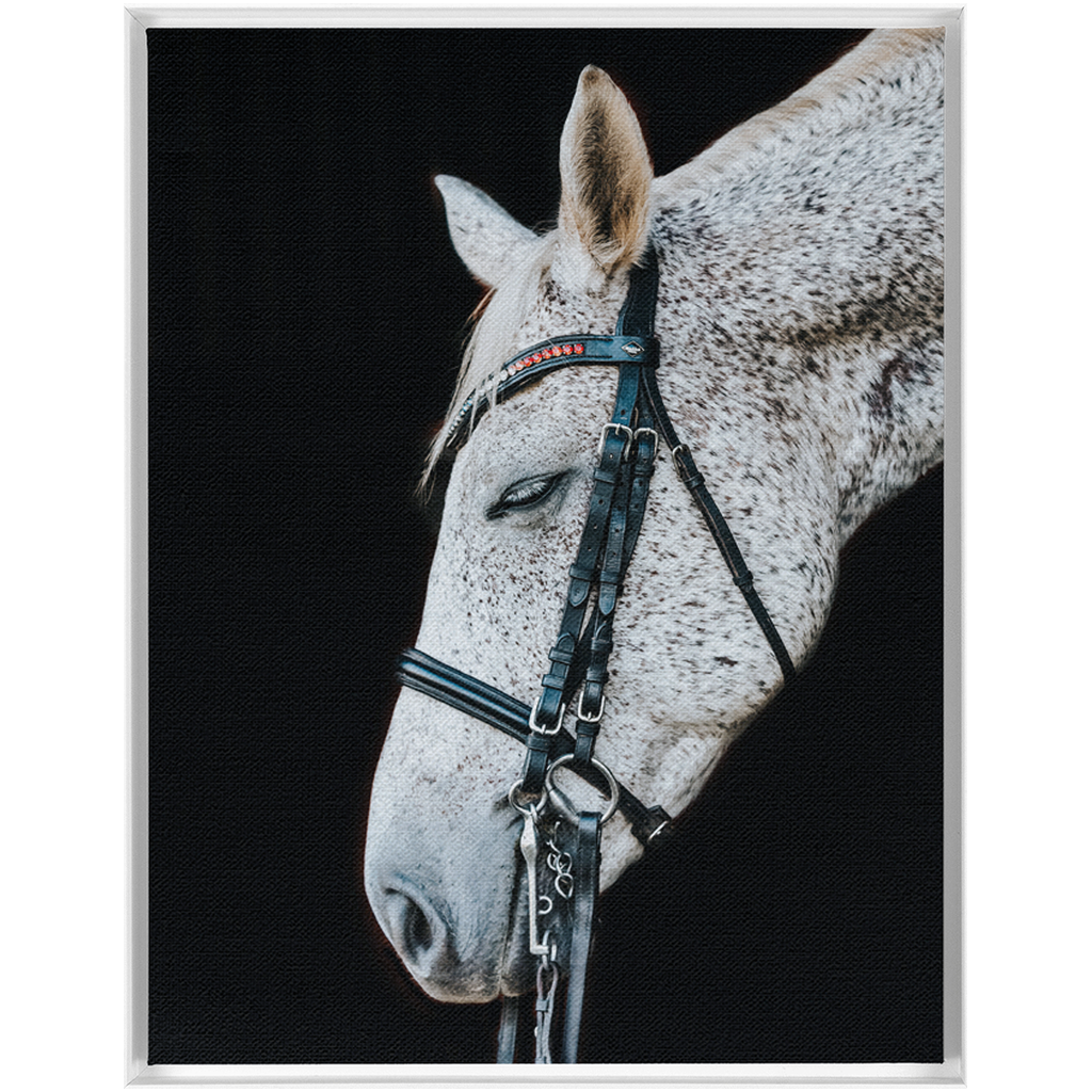 Apollo Series 1, Framed Canvas