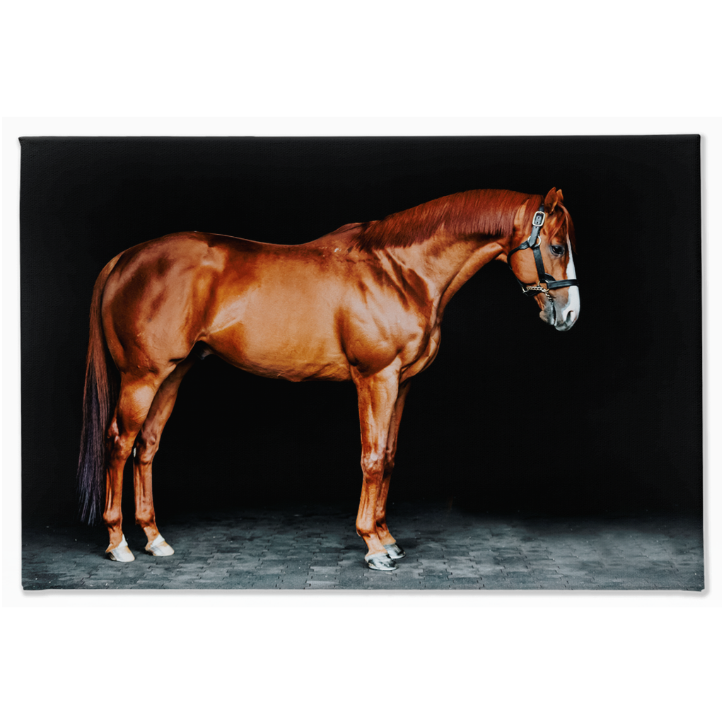 Justify Series 6, Stretched Canvas