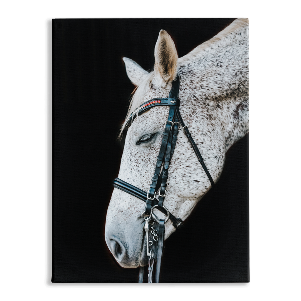 Apollos Series 2, Stretched Canvas