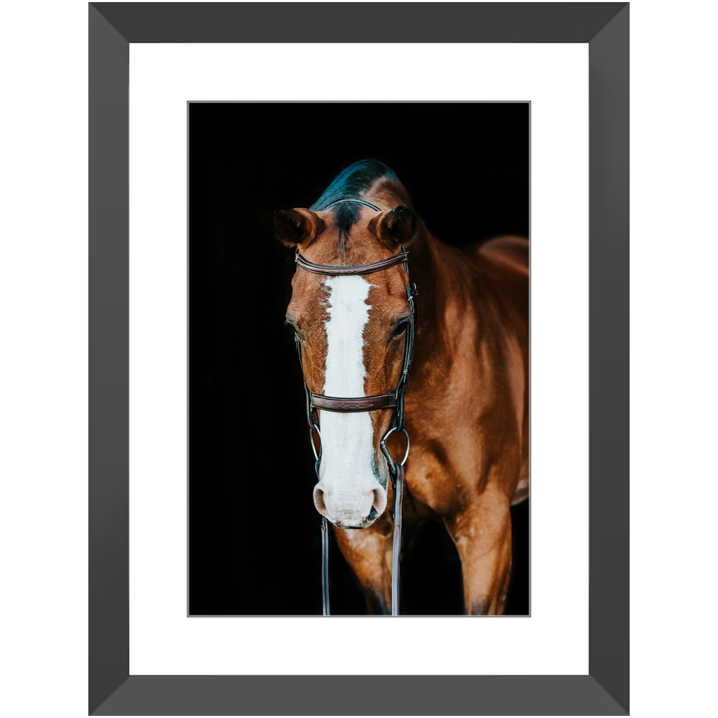 Huntsman Series 6, Framed Print