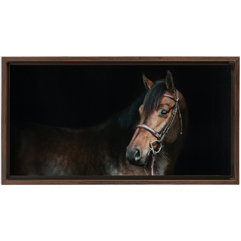 Jovial Series 2, Framed Canvas